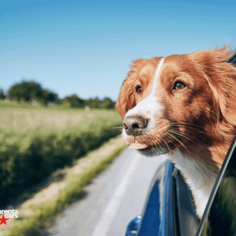 Ampliar la duración de alquiler de coches, todo lo que debes saber